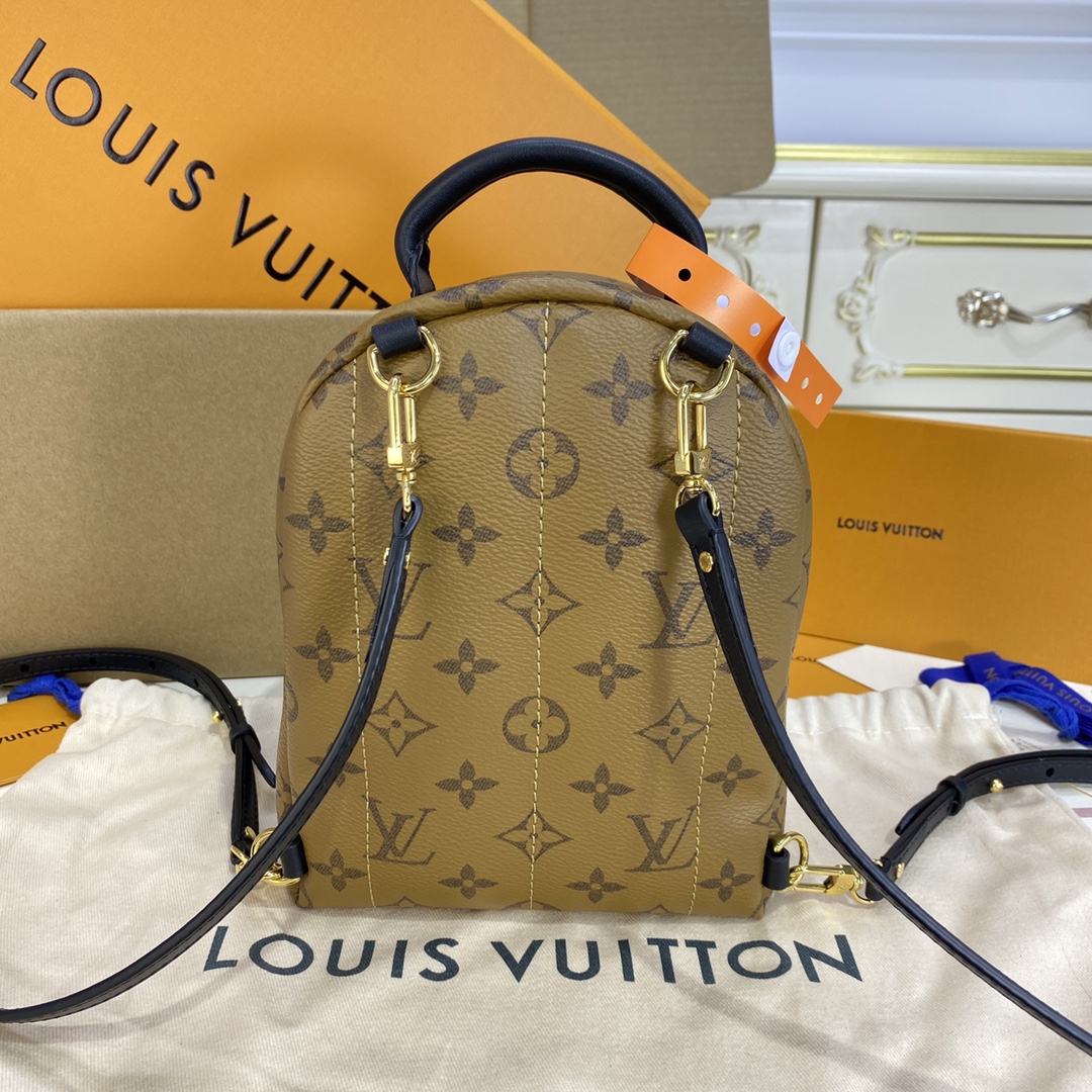 Louis Vuitton PALM SPRINGS MINI Backpack Monogram M44872